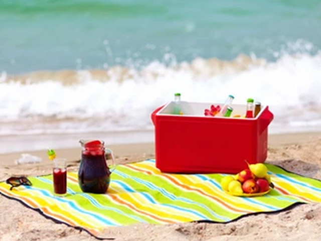 Φορητά Ψυγεία & Θερμός