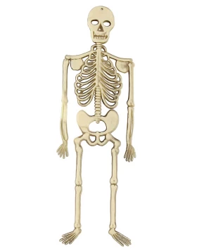 Halloween Διακοσμητικός Σκελετός 32cm 311855