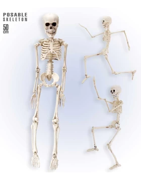 Αποκριάτικος Διακοσμητικός Σκελετός 50cm 318129
