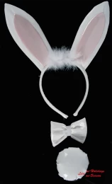 Αποκριάτικο Set Λαγού Vinyl 70032 (Thumb 2)