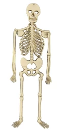 Halloween Διακοσμητικός Σκελετός 32cm 311855 (Thumb 1)