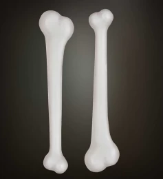 Set/2 Κόκκαλα Πρωτόγονου 312587 (Thumb 2)