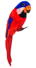 Παπαγάλος Πειρατή 39cm 312102 (Thumb 1)