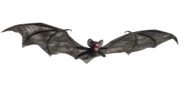 Αποκριάτικη Διακοσμητική Νυχτερίδα 74cm 7797A - 770972 (Thumb 1)