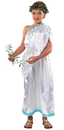 Αποκριάτικη Στολή Αρχαία Ελληνίδα 258 -  25800 (Thumb 1)