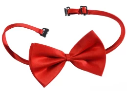 Παπιγιόν Κόκκινο Υφασμάτινο Deluxe 316369 (Thumb 1)