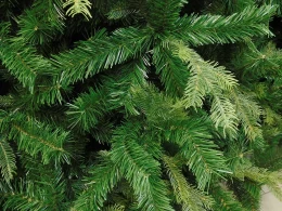 Χριστουγεννιάτικο Δέντρο Richmond Ύψος 210cm Plastic & Pvc 235362 (Thumb 2)