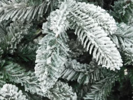 Χριστουγεννιάτικο Δέντρο Denison Ύψος 210cm Plastic & Pvc 235452 (Thumb 2)