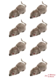 Σετ 8 Χνουδωτά Ποντικάκια 5cm 317609 (Thumb 2)