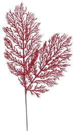 Χριστουγεννιάτικο Κλαδί Διπλή Φτέρη Κόκκινη 50187161 (Thumb 1)