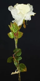 Χριστουγεννιάτικο Κλαδί Τριαντάφυλλο 118235 (Thumb 1)