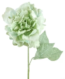 Πράσινο Χριστουγεννιάτικο Λουλούδι 143960 (Thumb 1)