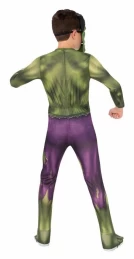 Αποκριάτικη Στολή Marvel Avengers Hulk 702025 (Thumb 4)