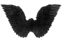 Φτερά Αγγέλου Πούπουλο Μαύρα 78x36 cm Deluxe 318103 (Thumb 2)