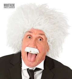 Αποκριάτικη Περούκα με Μουστάκι Αϊνστάιν 318330 (Thumb 3)