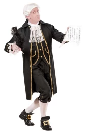 Αποκριάτικη Στολή Composer - Συνθέτης 9009 - 318538 (Thumb 1)