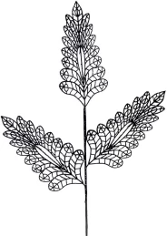 Χριστουγεννιάτικο Διακοσμητικό Κλαδί Φτέρη Μαύρη 88cm 213778 (Thumb 1)