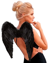 Φτερά Αγγέλου Μαύρα Deluxe 50x37cm 313637 (Thumb 1)