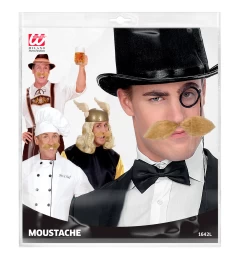 Αποκριάτικο Ξανθό Μουστάκι Χαρακτήρων 319225 (Thumb 6)