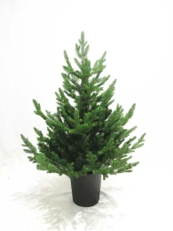 JK Home Décor - Δέντρο σε Γλάστρα ΡE 90cm (Thumb 1)