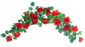 Τόξο με 16 Κόκκινα Τριαντάφυλλα 80cm 237125