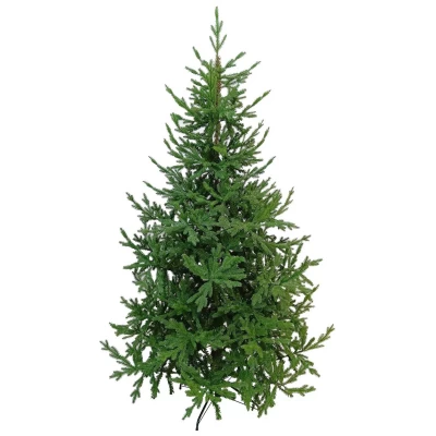 Χριστουγεννιάτικο Δέντρο Πράσινο PE Mix PVC 210cm 55664 - PE 3D