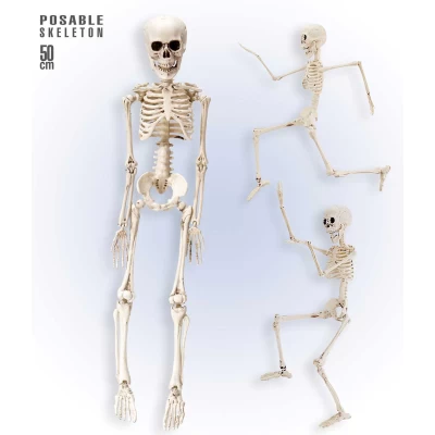 Αποκριάτικος Διακοσμητικός Σκελετός 50cm 318129