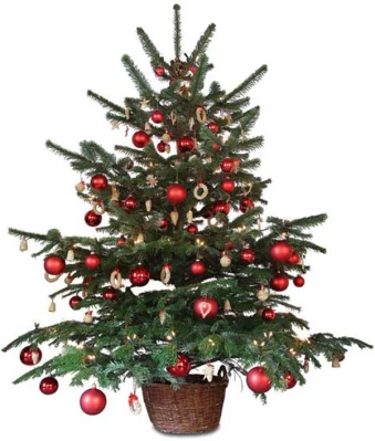 Χριστουγεννιάτικα Δέντρα Επιτραπέζια - Δέντρα Γραφείου