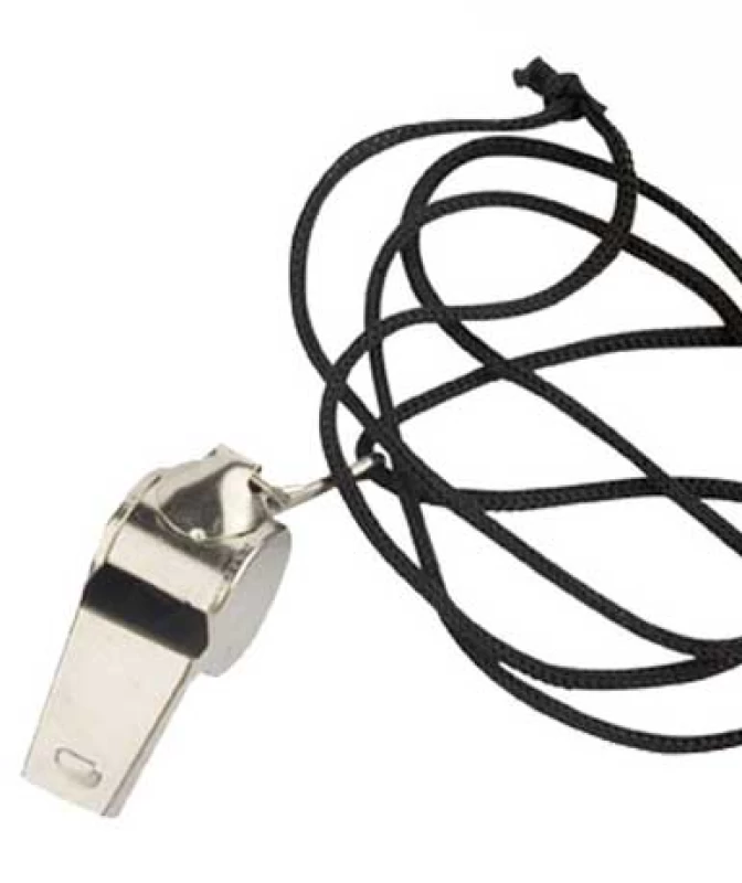 Σφυρίχτρα Μεταλλική 317733 (Preview 1)