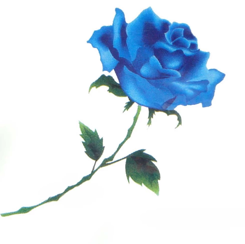 Tattoo 70697i (Preview 1)