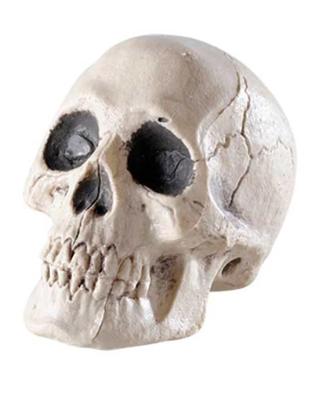 Αποκριάτικο Διακοσμητικό Νεκροκεφαλή 12cm 311817a (Preview 1)