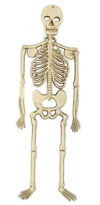 Halloween Διακοσμητικός Σκελετός 32cm 311855 (Preview 1)