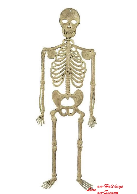 Halloween Διακοσμητικός Σκελετός 32cm 311855 (Preview 2)