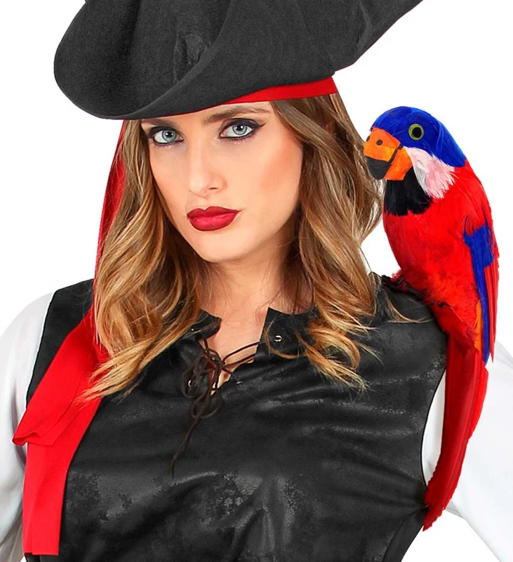 Παπαγάλος Πειρατή 39cm 312102 (Preview 3)