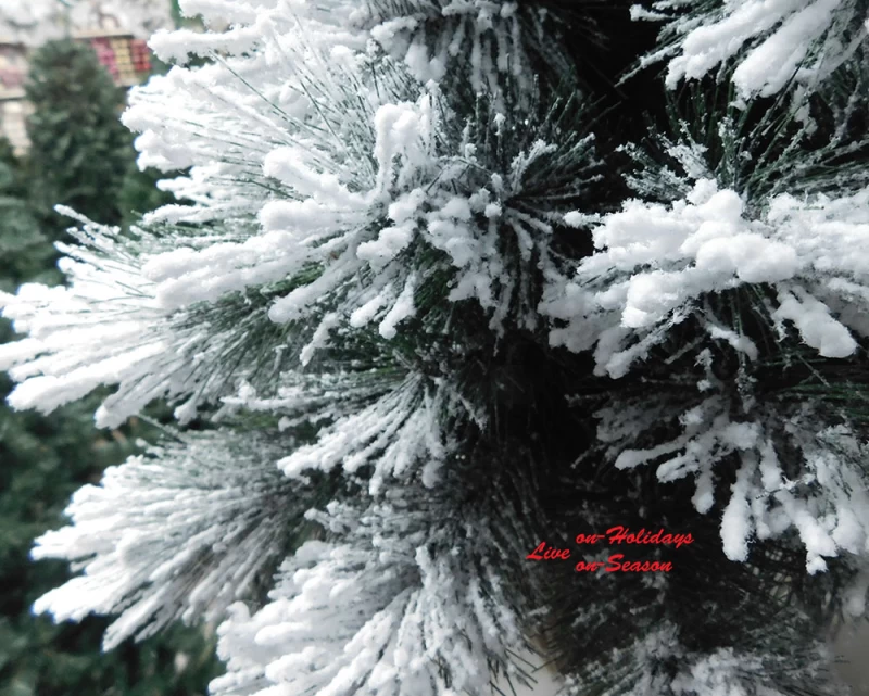 Χριστουγεννιάτικο Δέντρο Chicago Plastic Flocked 80cm 933075 (Preview 2)