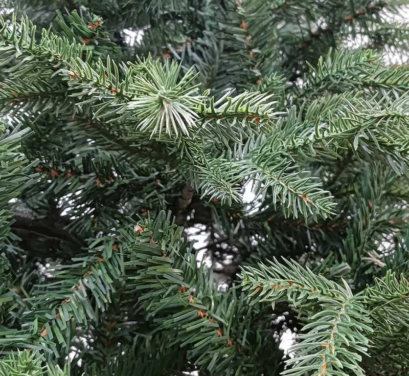 Χριστουγεννιάτικο Δέντρο Loudon PE & PVC 210cm 237162 - PE 3D (Preview 5)