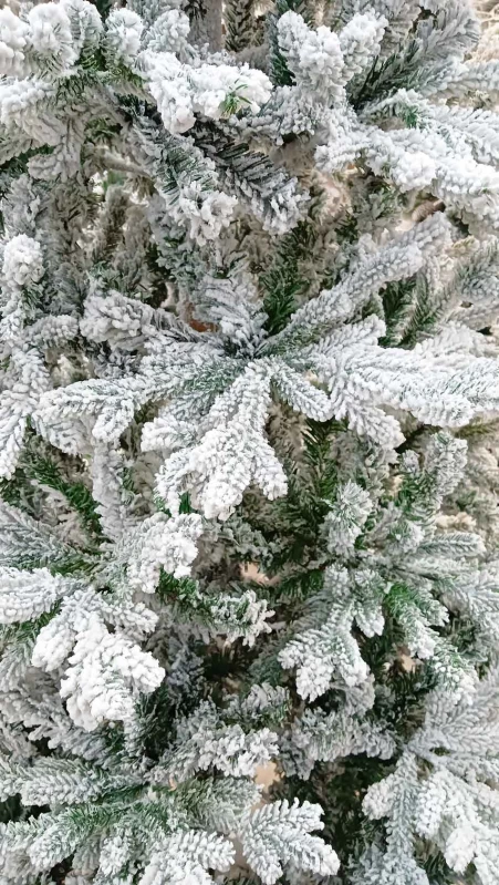 Χριστουγεννιάτικο Δέντρο Ψηλορείτης 210cm 2013615 - PE & PVC  (Preview 8)