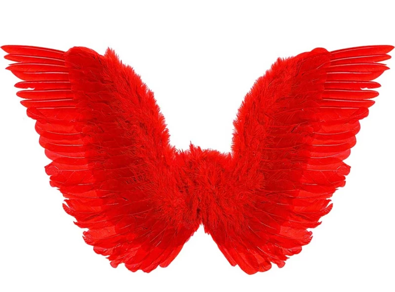 Φτερά Αγγέλου Πούπουλο Κόκκινα 78x36 cm Deluxe 318104 (Preview 2)