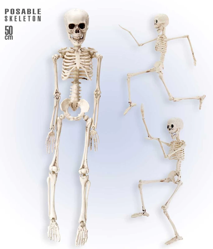 Αποκριάτικος Διακοσμητικός Σκελετός 50cm 318129 (Preview 1)