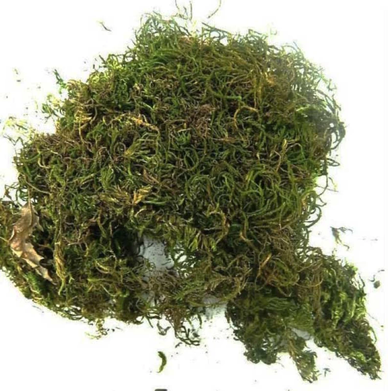 Διακοσμητικό Χόρτο Φάτνης 60gr 876646 (Preview 2)