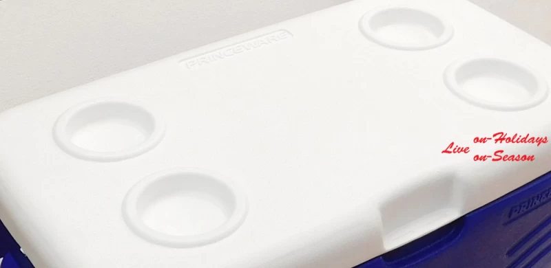 Φορητό Ψυγείο Arctic Cooler Box 48 lt - 96 ωρών 884654 (Preview 4)