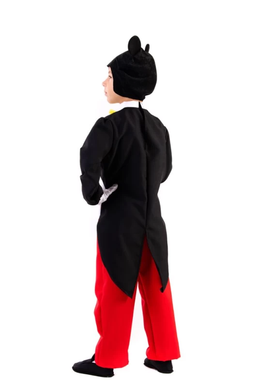 Αποκριάτικη Στολή Ποντικούλης (Preview 2)