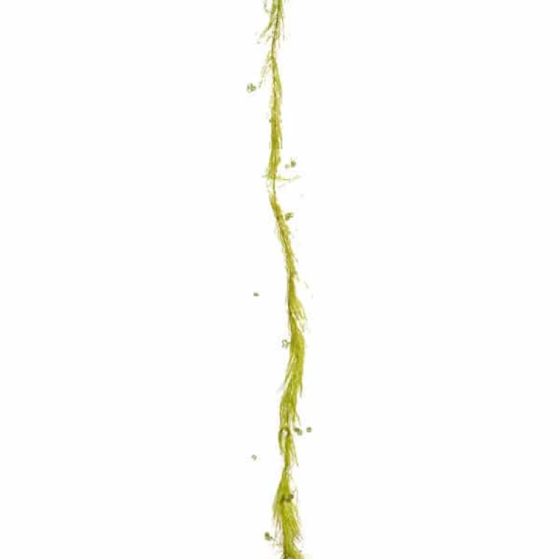 JΚ Home Décor - Γιρλάντα με Πέρλα Πράσινη 180cm (Preview 1)