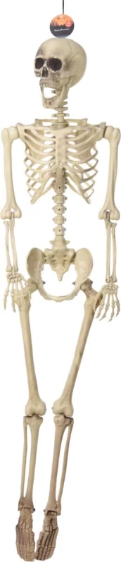 JK Home Décor - Σκελετός Halloween 165cm (Preview 1)